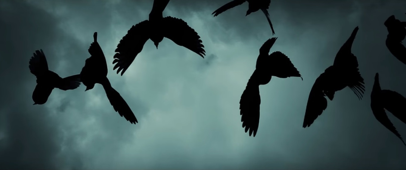 Lista filmów konkursowych 2015